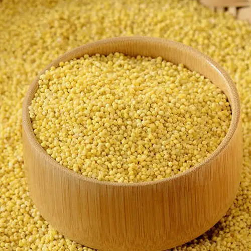 Millet supplier hulled yellow pearl millet grain