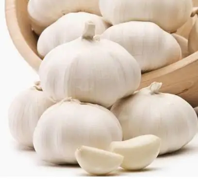 Garlic Price 1KG, Elephant Garlic Price, Wholesale Garlic Price