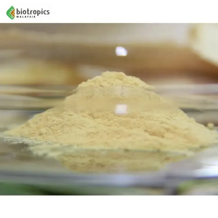 New Ingredient Herbal Plant Malaysia Tongkat Ali Root Extract Powder Eurycoma Longifolia for Food and Drinks