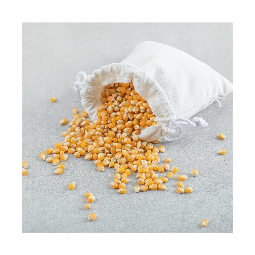 Hot Sale Low Price Imported Snack Food Grade Bucket Bagged Corn Kernels 100% Natural Yellow Sweet Popcorn