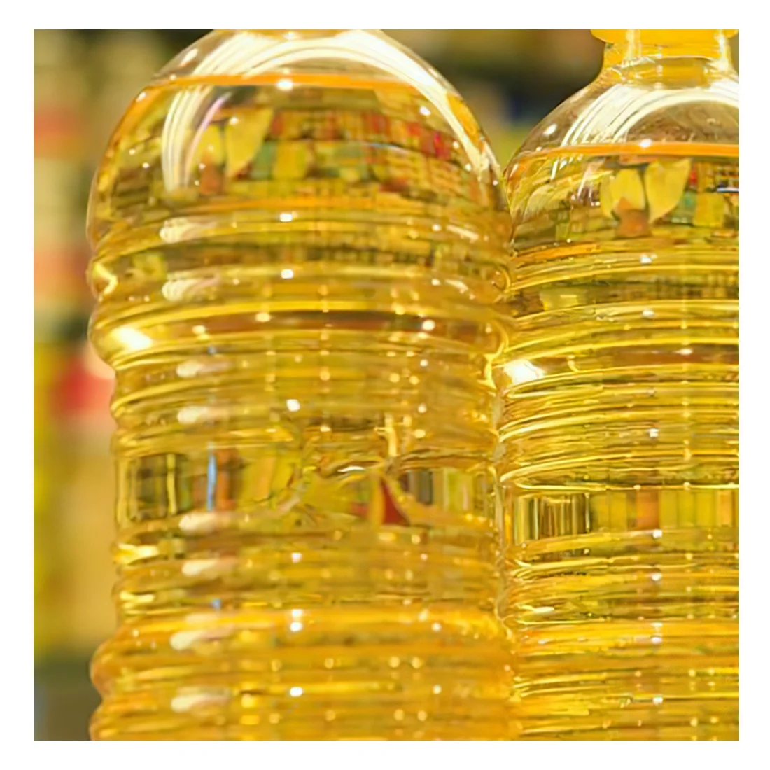 Sunflower Oil