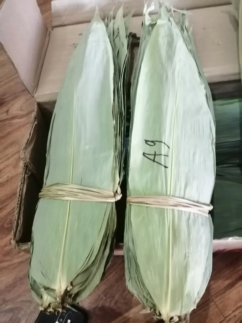 Big Size Bambo Leaves for Wholesale Vietnam Dry and Frozen 7 - 15 Days T/T 40% 60% +84984418844 100kg 40 up Piece