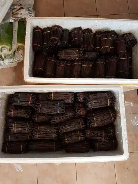 Vanilla tahiti or planifolia Grade 1