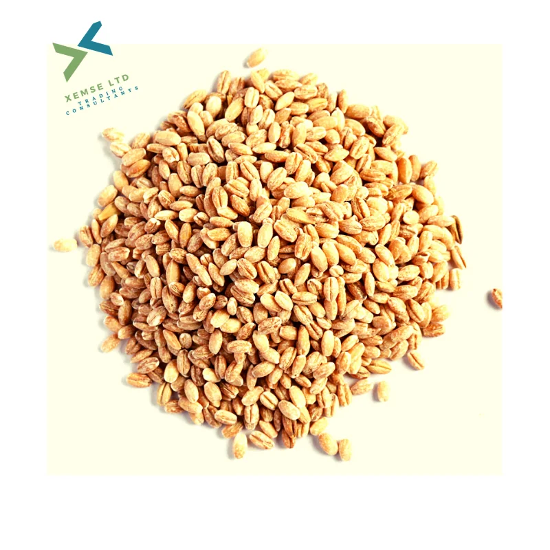 Pre cleaned Durum Wheat /Pasta Wheat Canada Supplier / Wheat Bran Animal Feed Available