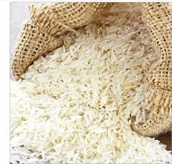 Wholesale indian yummy food product grain packed basmati white rice