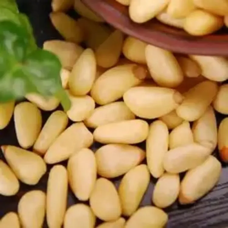 Оптовая продажа вкусные кедровые орехи косточки