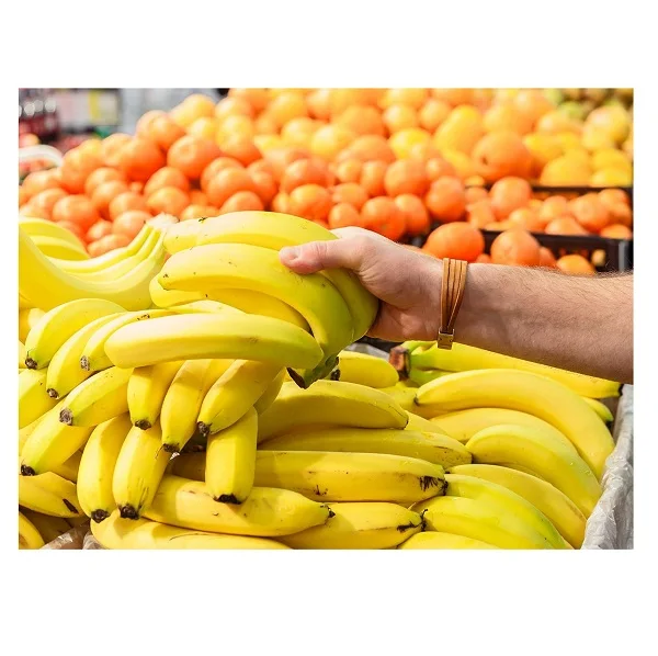 Поставка свежих зеленых бананов Cavendish с высоким экспортным качеством