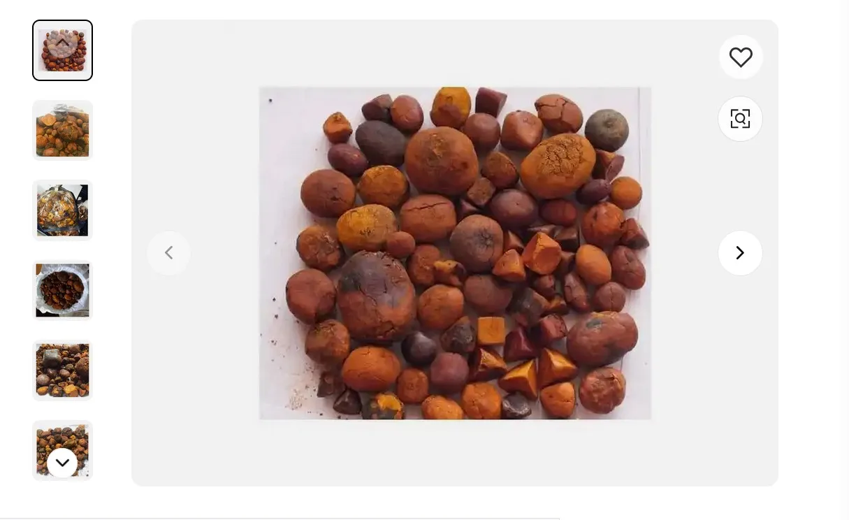Quality dried Cow Ox Gallstones | Cattle Gallstones| Cow Gallstones and Bezoar