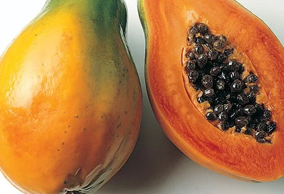 Cheapest price - FROZEN PAPAYA TROPICAL FRUIT - Natural Sweet from MEKONG DELTA VIETNAM
