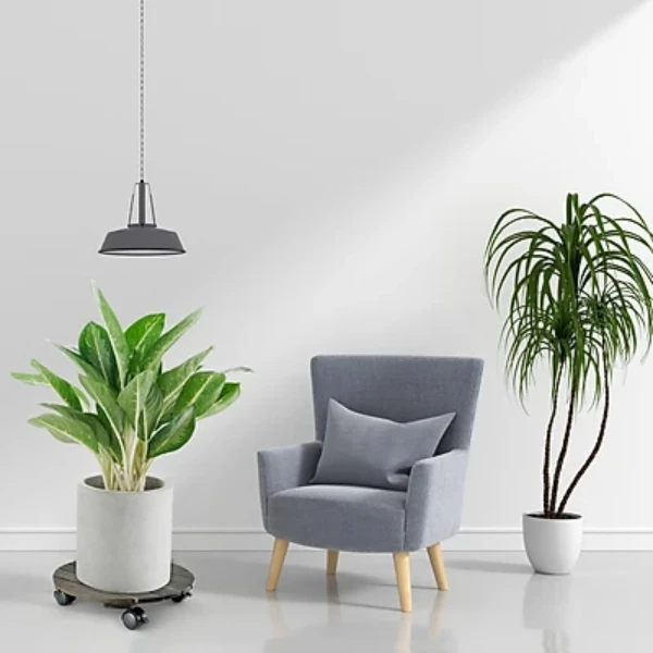 Cheap Factory Price High Level New Design Wooden Portable Round Trolley Plant Caddy Tray With Lockable Wheels