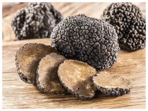 Discount Fresh black truffle hooked black truffle mushrooms