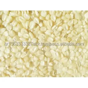 White-Corn-Maize-Grade-1.jpg
