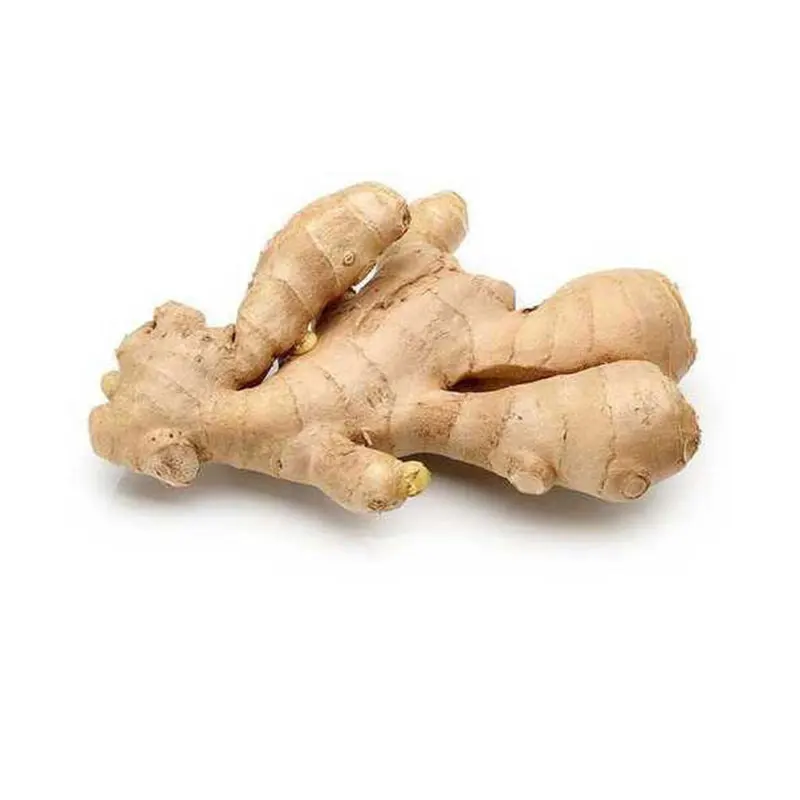 Indian Exporter of Dry Ginger Single Spices & Herbs at Wholesale Price