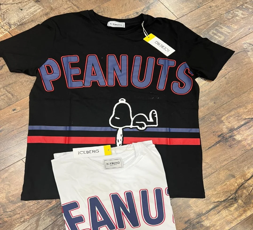 ICEBERG Original T-shirt New Reslot, wholesale FREEZEMAX X PEANUTS Men Graphic T-shirt product of Turkey