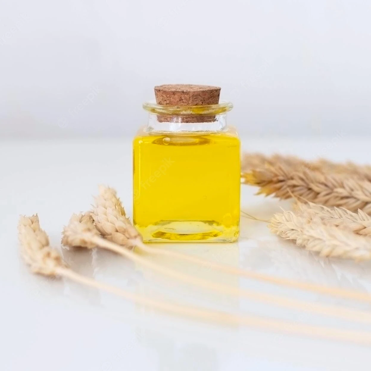 wheat germ oil wheat germ oil halal wheat germ oil capsule