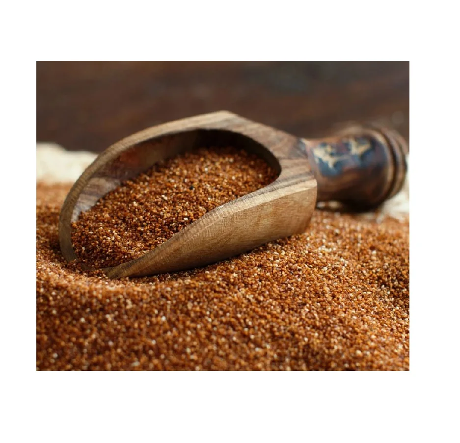 100% Pure Organic Teff Grains With Fast Delivery Gluten free Brown Teff grains / Bulk TEFF GRAIN