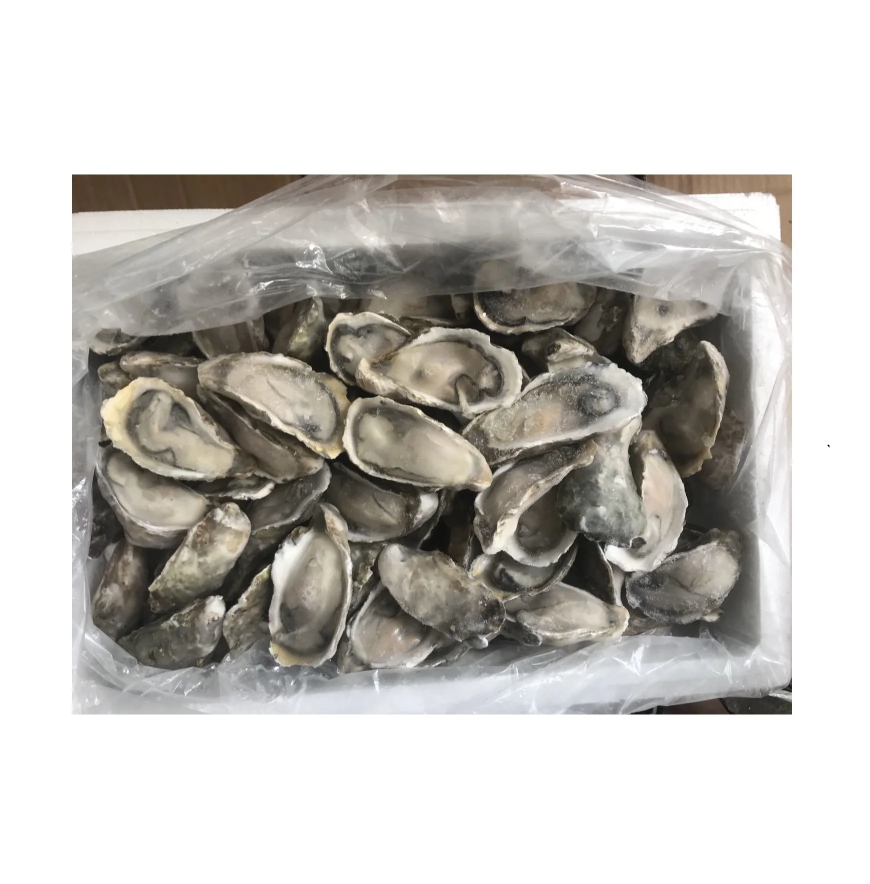 Frozen Oyster - Great for Grilling, Pan-Frying, or Adding to Your Favorite Dishes