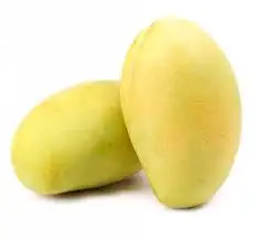 Mango Cat Hoa Loc Mango Cat Chu Export Quality 100% Natural No Preservatives / Frozen Product