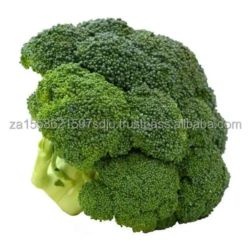 broccoli-500x500_580x.jpg