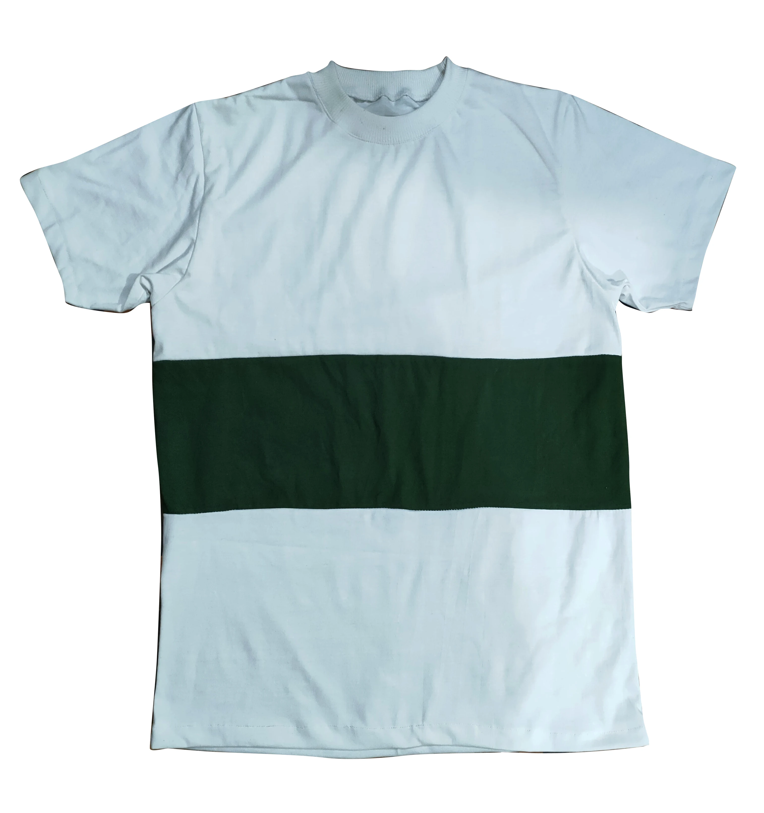 Hot New Sales High Quality T Shirt Wholesale in Poly-Cotton 200Gsm Custom T-Shirts Fresh Fabrics in 100% Cotton Jersey 180Gsm