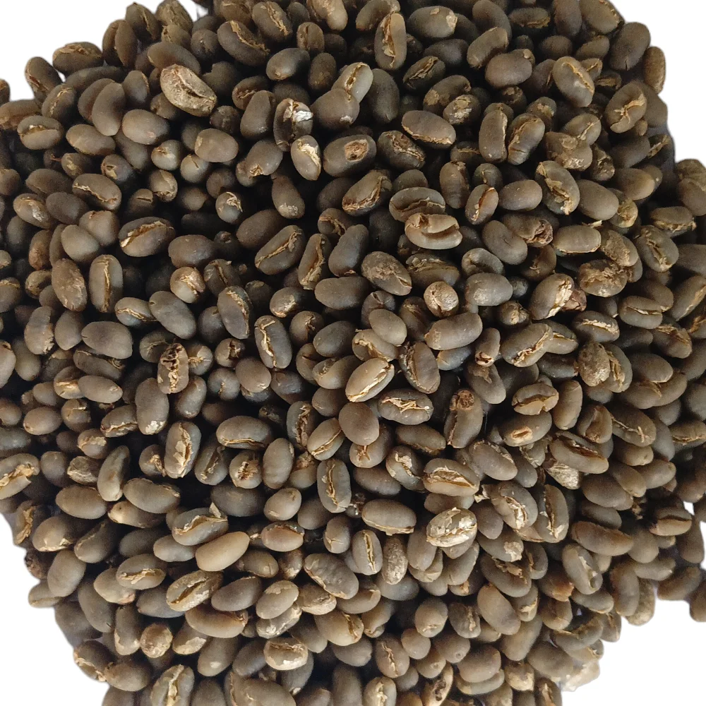 Premium Sumatra Mandheling Peaberry Green Coffee Beans Specialty Grade Arabica Coffee Directly Sourced from Indonesia