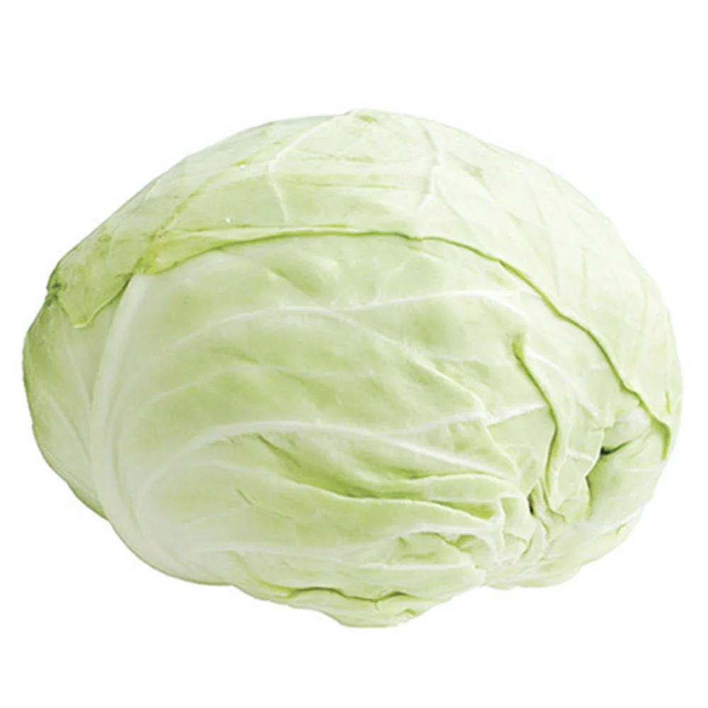Organic Green Cabbage For Sale In EU