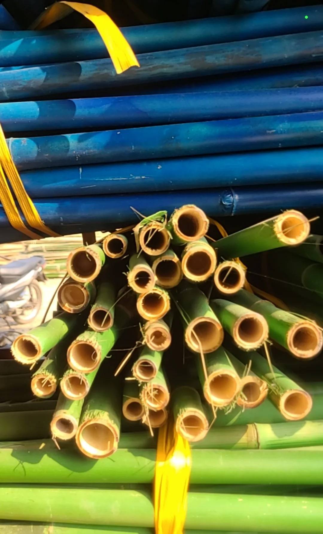 Sustainable bamboo high quality strong bamboo pole for garden decoration in Vietnam