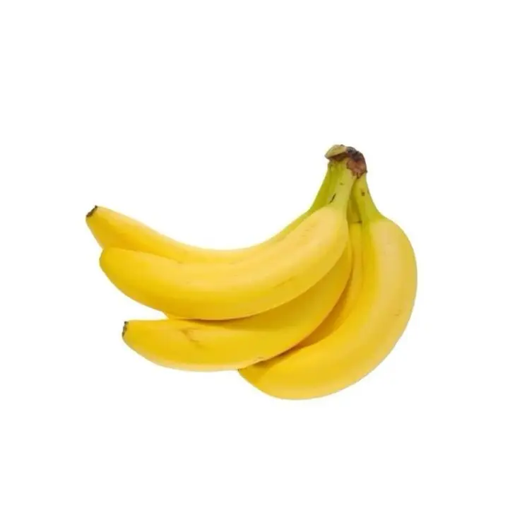 Fresh Cavendish Banana Ready to Export 2024