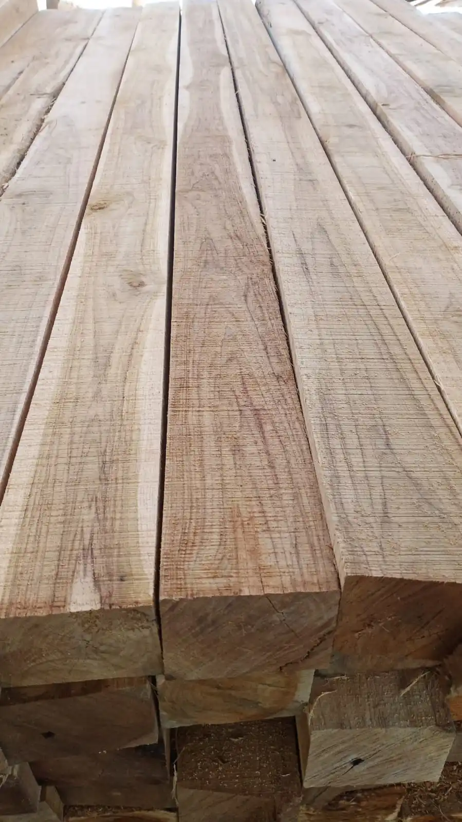 Premium Quality Teakwood Logs Raw Material Clean Cut Rough Squares Excellent Value!