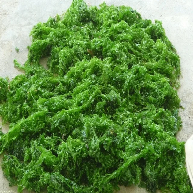 Wholesale Ulva Lactuca Dried Seaweed Green Laver Aonori Ulva Lactuca Powder