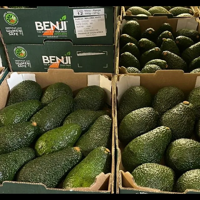 Wholesale export buyers fresh fruit pulp products import prices avocados