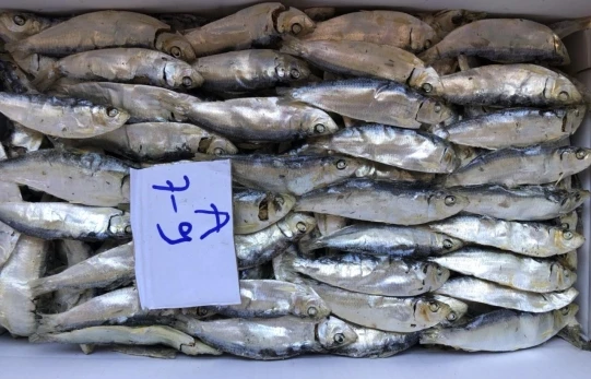 Best Dry Stock Fish Dry Stock Fish Head dried salted cod ready dried smoked herring for export Akina