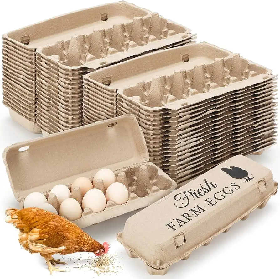 Animal Product Best selling Chicken White Eggs and Their Role in Food Safety A Closer Look at Different Types of Egg Cartons
