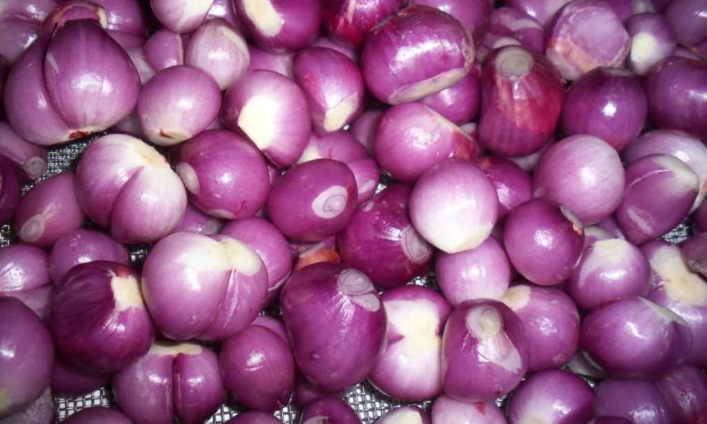 Exporter Vietnam Good Quality Round Purple Onion// NEW crop Red Onion fresh Vegetables fresh onion wholesale sale fresh onions