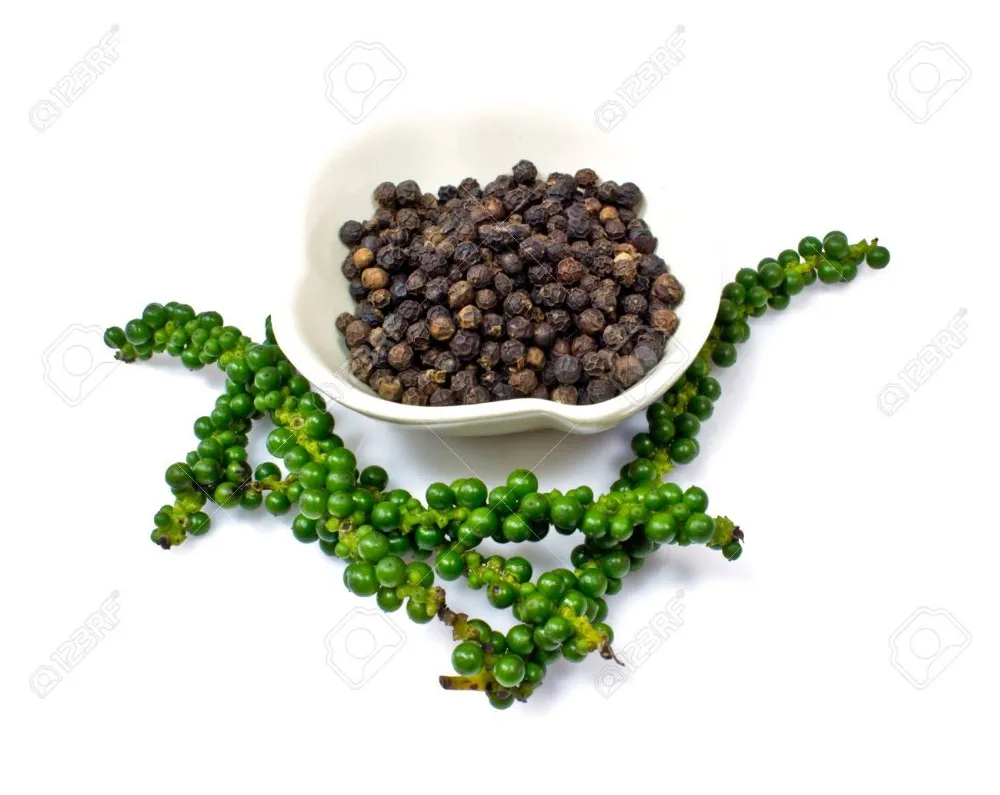 Green pepper high quality freeze pepper with best price