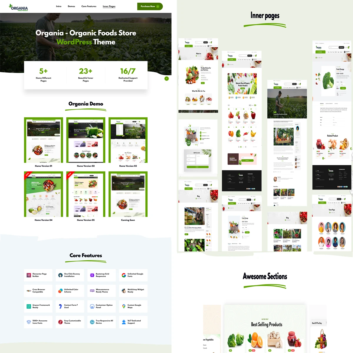 Website Development and Shopify Web Design | professional web designers and developers