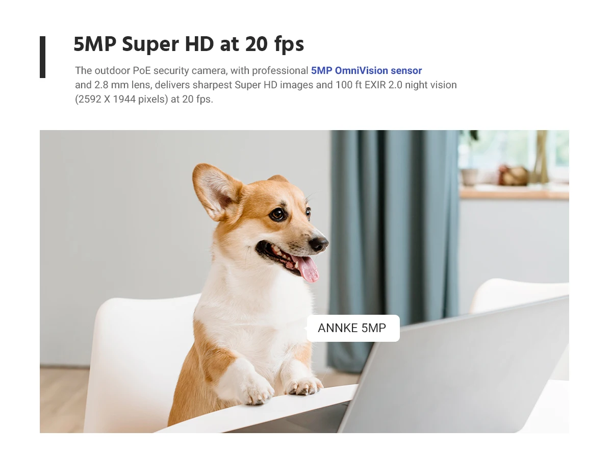 ANNKE H.265+ 4K 16Ch POE NVR Security Camera NVR System 16pcs 5MP CCTV Camera Kit with Audio with 8TB Hard Drive