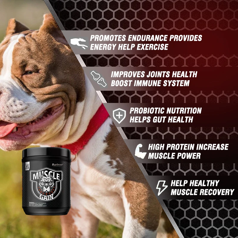 Oem & Odm China Pet Nutrition Supplements with Vitamins Weight Gain Growth High-Protein Dog Muscle Supplement Powder