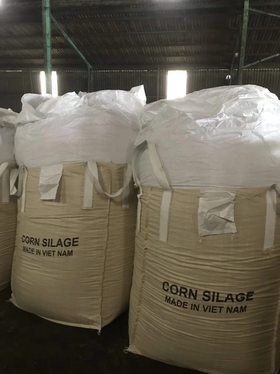 VIETNAM CORN SILAGE/MAIZE SILAGE WITH MOLASSES - HIGH QUALITY AND COMPETITIVE PRICE / Whatsapp +84902679738 Ms Jolie