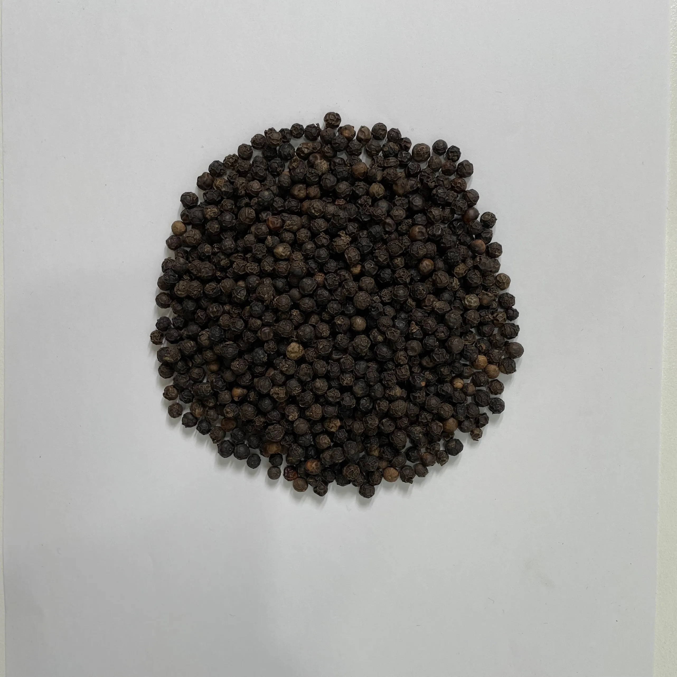 black pepper rate 550GL MC vietnam spices black pepper grinder ceylon souce black pepper 550 gl