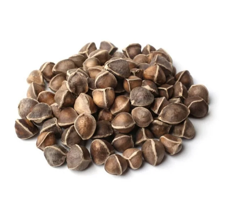 Superfood Moringa Herbal Extract Powder Wild Cultivation Solvent Extracted Packed in Plastic Container or Drum