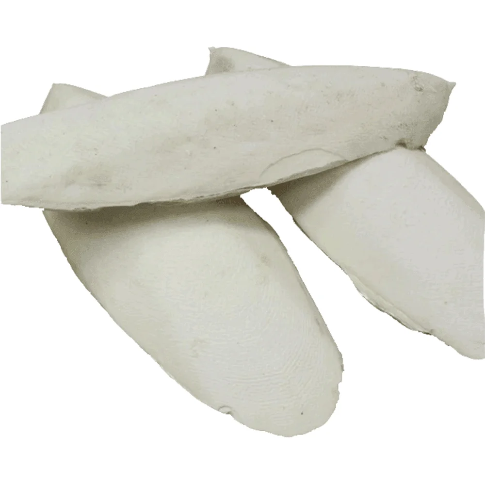 Dried Cuttlefish Bone For Birds Buy Wholesale Price Cuttlefish Bone Best Price Squid Bone-Cuttlebone