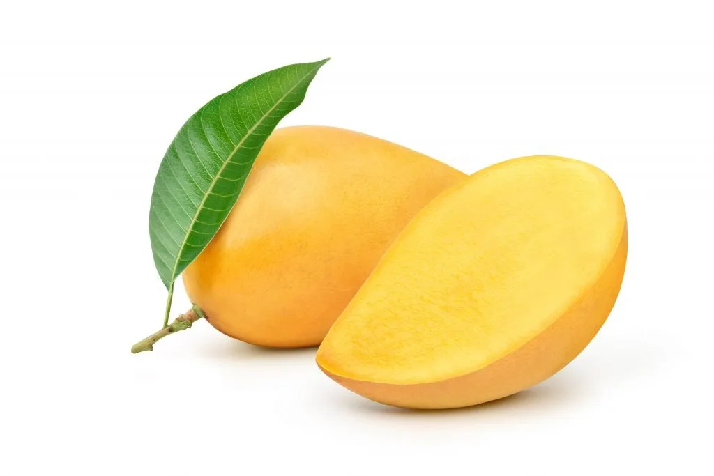 Mango Vietnam Supplies Frozen Mango Clean Healthy Fruit Fresh Fruit Best price Mango Nutrious fruits