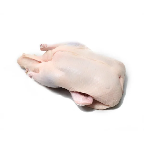 Premium Quality Best Selling Frozen Whole Duck