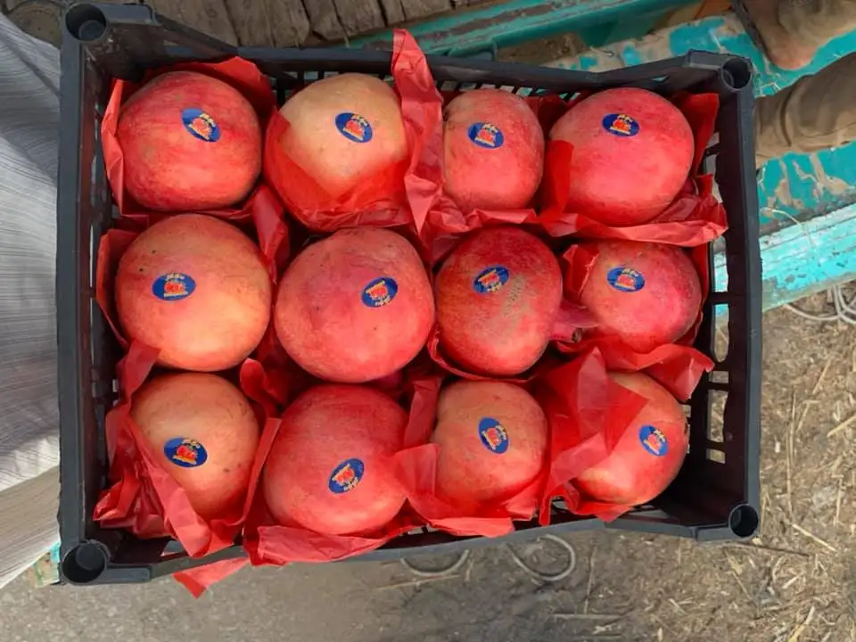 Свежий гранат