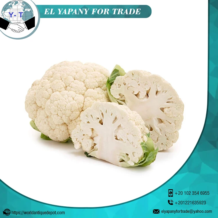 Fresh White Cauliflower for Sale