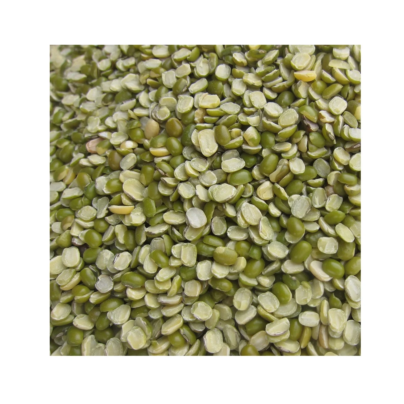 Wholesale Natural Organic High Quality Green Mung Beans Split Green Vigna Beans Green Gram Beans