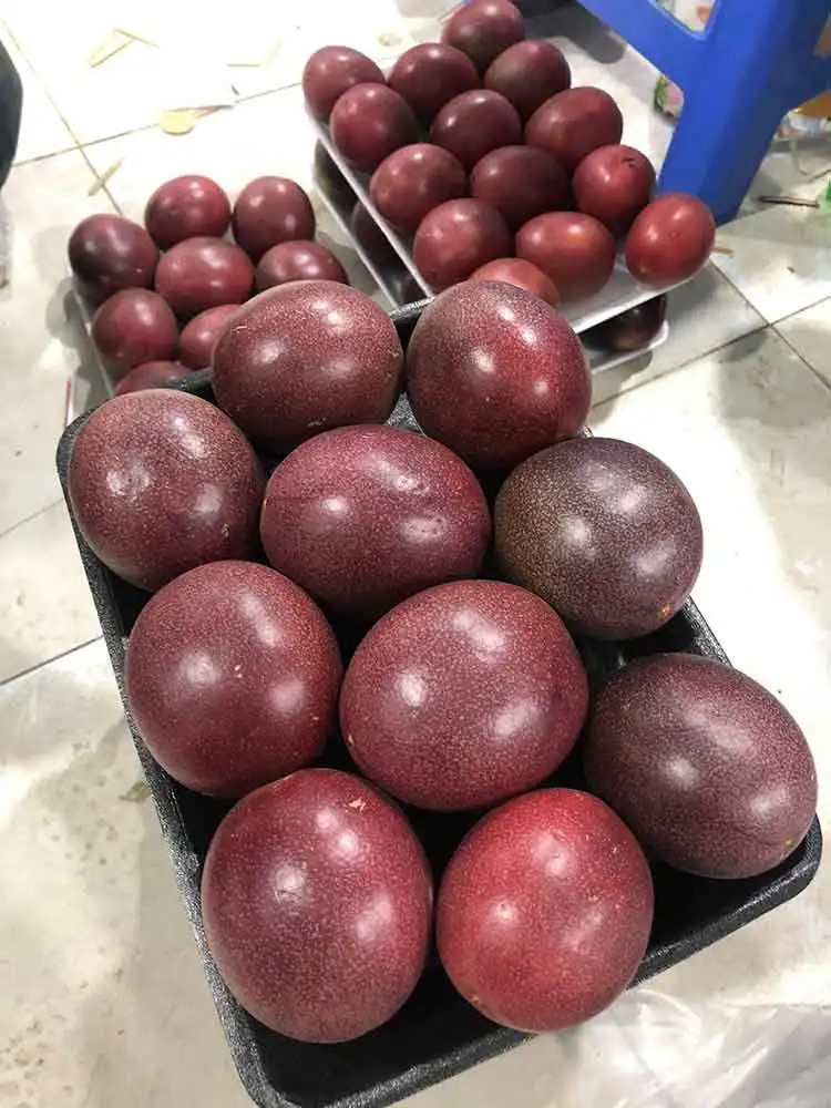 Passion fruit best seller wholesale delicious cheap price competitive price new harvest season crop fresh customized size