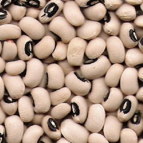 Black Eye Beans Black Eyed peas for sale