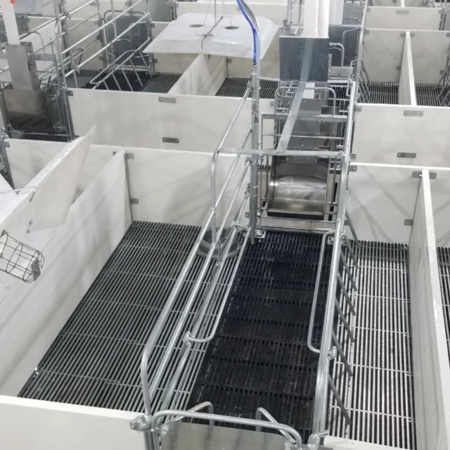 Good farrowing cage for pigs Stainless Steel   Vietnamese Manufacturer Top Selling   pig farrowing barn